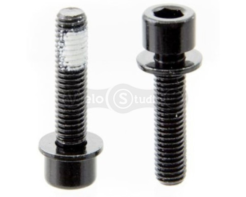 Болты крепления калипера Tektro Flat Mount Mounting Bolt 17 мм