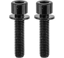 Болты крепления калипера Tektro Flat Mount Mounting Bolt 22 мм