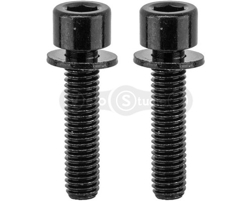 Болты крепления калипера Tektro Flat Mount Mounting Bolt 22 мм