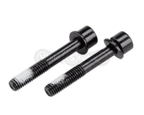 Болты крепления калипера Tektro Flat Mount Mounting Bolt 27 мм