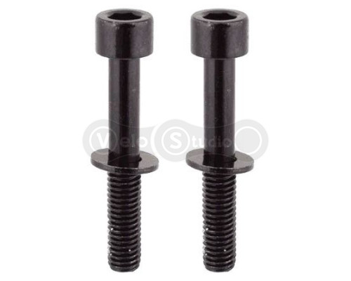 Болты крепления калипера Tektro Flat Mount Mounting Bolt 37 мм