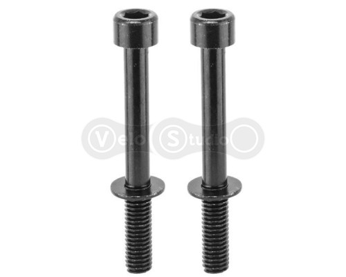 Болты крепления калипера Tektro Flat Mount Mounting Bolt 42 мм