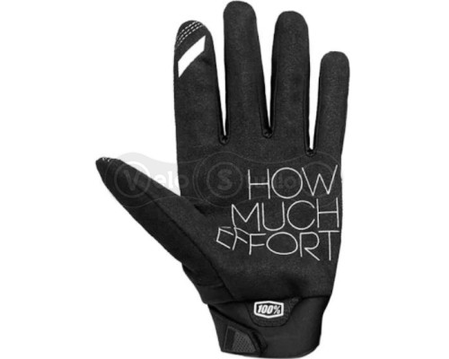 Зимові рукавички 100% BRISKER Glove [Black], L (10)