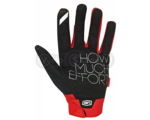 Зимние перчатки 100% BRISKER Glove [Red], M (9)