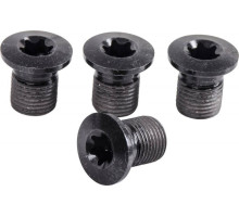 Болти зірок шатуна Shimano FC-M8000-3 (M8 x 10.1)