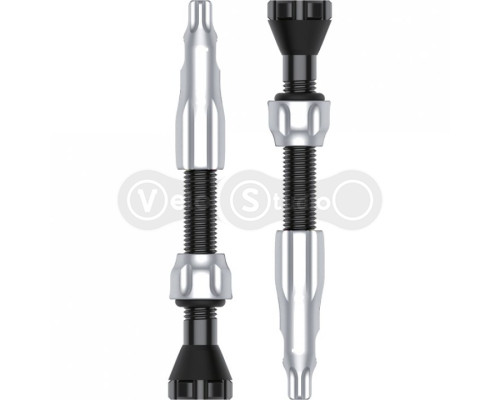 Безкамерний ніпель Lezyne CNC TLR Valve 44 мм сріблястий - 2 шт