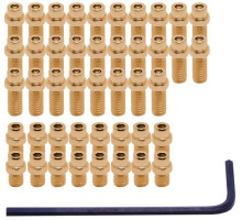 Шипи для педалей DMR Flip Pin Set For Vault Pedal 44pcs Gold