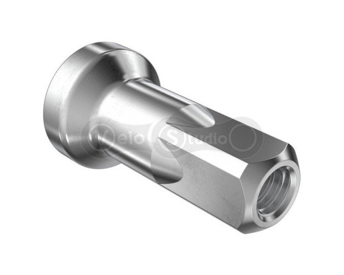 Ніпелі DT SWISS Алюміній 2.0 X 12мм х 100шт HID NEUTRAL