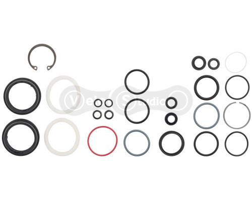 Сервисный набор RockShox Domain (2025+) Generation-C - 1 Year Service Kit