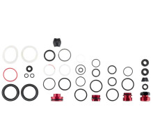 Сервисный набор RockShox Lyrik Base/Select/Select+/Ultimate (2022+) Generation-D - 1 Year Service Kit