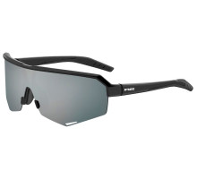 Окуляри R2 FLUKE black (PC), лінза smoke, покриття flash mirror, кат.3