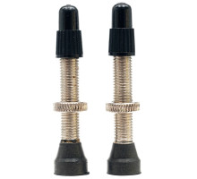 Бескамерный ниппель Stan's Universal Valves, regular, FV 35 мм, латунь, 2 штуки