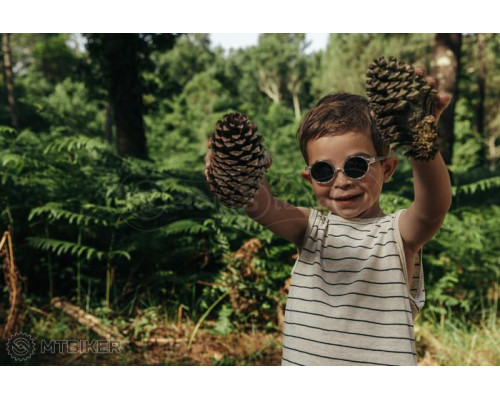 Дитячі окуляри JULBO WALK Spectron 3 VIOLET FUME