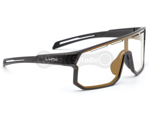 Окуляри LYNX Bismarck PH B, matt Black1/Smoke with Gold Revo - Фотохромні (1-3 кат)