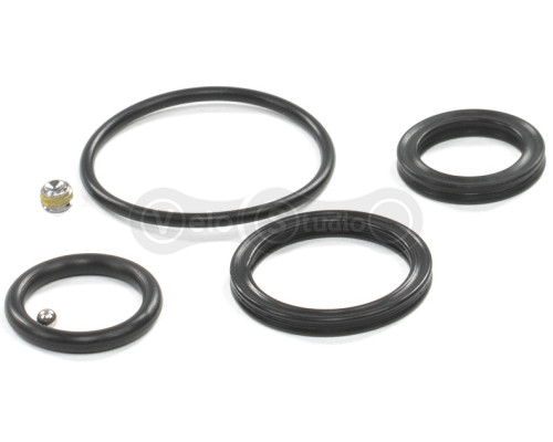 Ремкомплект для вилки Suntour Raidon, RBA499-01