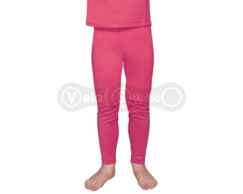 Детские термоштаны ICEBREAKER JN BF 200 Legging Junior bloom 12