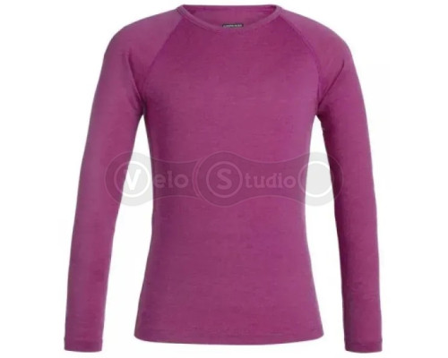 Детская термофутболка с длинным рукавом ICEBREAKER Kids 200 Oasis LS Crewe AMORE 08