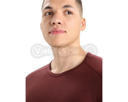 Термофутболка із довгим рукавом ICEBREAKER 200 Oasis LS Crewe MEN ESPRESSO M