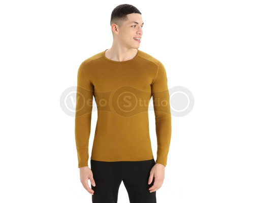 Термофутболка с длинным рукавом ICEBREAKER 260 Tech LS Crewe MEN CLOVE M