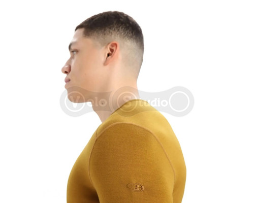 Термофутболка с длинным рукавом ICEBREAKER 260 Tech LS Crewe MEN CLOVE M