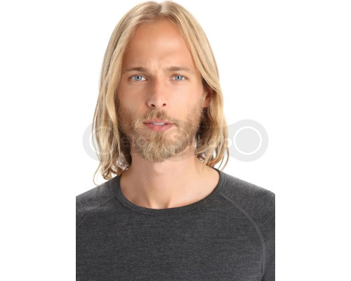 Термофутболка з довгим рукавом ICEBREAKER 260 Zone LS Crewe MEN JET HTHR/BLACK M