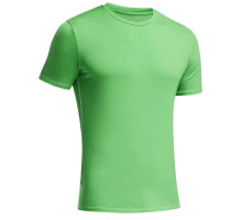 Термофутболка ICEBREAKER BF 150 Anatomica SS Crewe MEN balsam/white XL