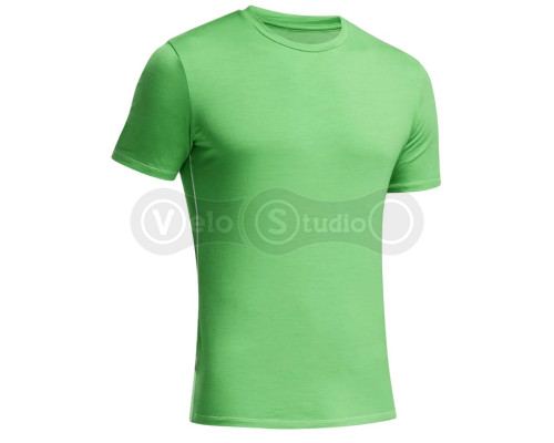 Термофутболка ICEBREAKER BF 150 Anatomica SS Crewe MEN balsam/white XL