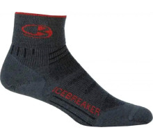 Шкарпетки ICEBREAKER Bike UL Mini WMN oil/salsa/oil L