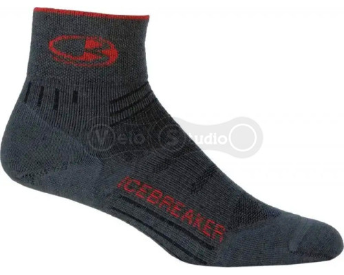 Носки ICEBREAKER Bike UL Mini WMN oil/salsa/oil S