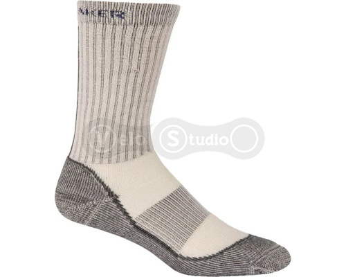 Шкарпетки ICEBREAKER Outdoor Lite Crew WMN silver/oil/horizon M