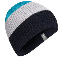 Шапка ICEBREAKER Oasis Beanie admiral/blizzard