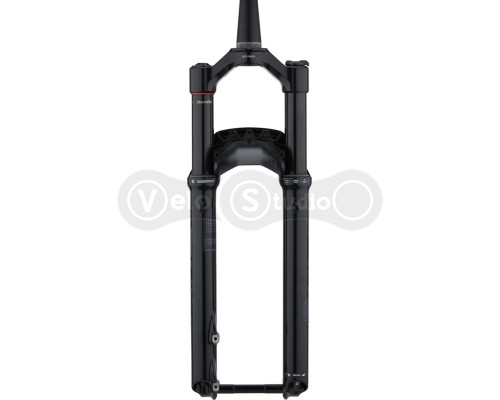 Вилка RockShox Pike Select Charger RC - Crown 29 Boost 15x110 120mm Black C1