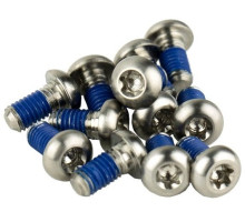 Болти ротора SRAM - Titanium T25, Silver Bolts (12шт)