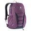 Рюкзак DEUTER Gogo 25 цвет 5334 plum-ink
