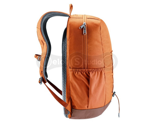 Рюкзак DEUTER Gogo 25 New цвет 6616 chestnut-umbra