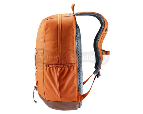 Рюкзак DEUTER Gogo 25 New цвет 6616 chestnut-umbra