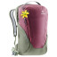 Рюкзак DEUTER XV 2 SL 19 колір 5206 maron-khaki Рюкзак DEUTER XV 2 SL 19 колір 5206 maron-khaki
