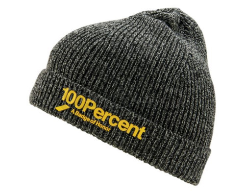 Зимняя шапка Ride 100% Echo Beanie Grey