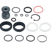 Сервісний набір (ремкомплект) RockShox Domain R/RC B1+ (2022+) - 00.4318.025.190