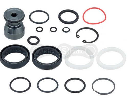 Сервисный набор (ремкомплект) RockShox Domain R/RC B1+ (2022+) - 00.4318.025.190