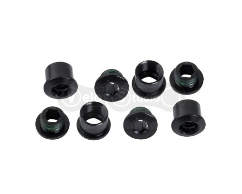 Болти для зірок Truvativ 4X1 W GUARD AL BLK