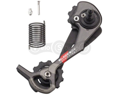 Сервісні запчастини Sram XX RD CAGE ASSEMBLY MEDIUM