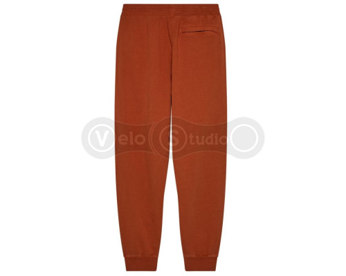 Спортивные штаны FOX WORDMARK Jogger Pant [Brown], Medium