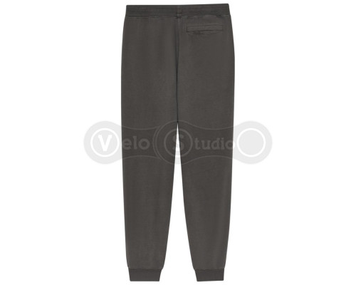 Спортивные штаны FOX WORDMARK Jogger Pant [Pewter], Medium