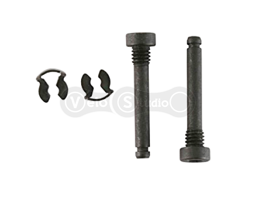 Болт и стопорное кольцо калипера Avid 11.5015.041.000