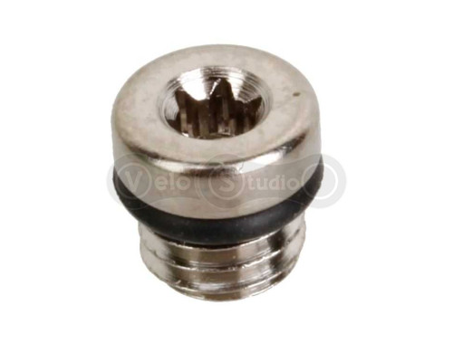 Болт - заглушка Rock Shox Reverb для прокачки гидравлической линии