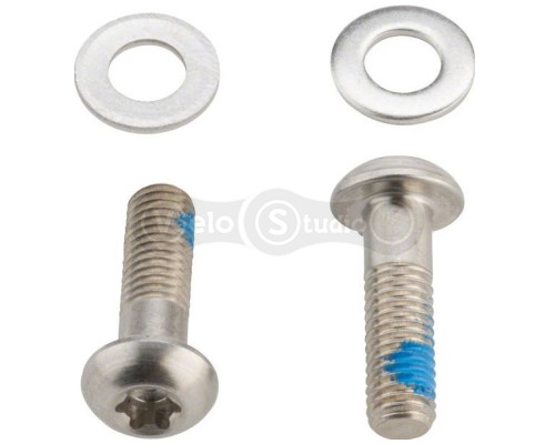 Болты Sram Disc Brake Flat Mount T25 15 мм