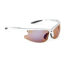 Очки Lynx Austin G Alu Silver сменные линзы, UV400