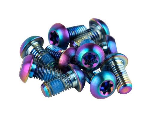 Болти SRAM Titanium T25 Rainbow Bolts для ротора (12 шт.)