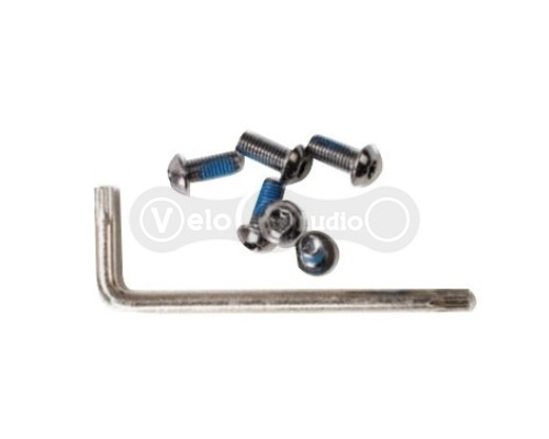 Комплект болтів Alligator для кріплення ротора Torx 6 шт.+ключ